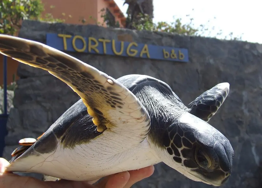 Сasa de vacaciones Tortuga B&B São Filipe