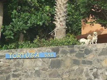 Tortuga B&B São Filipe Сasa de vacaciones