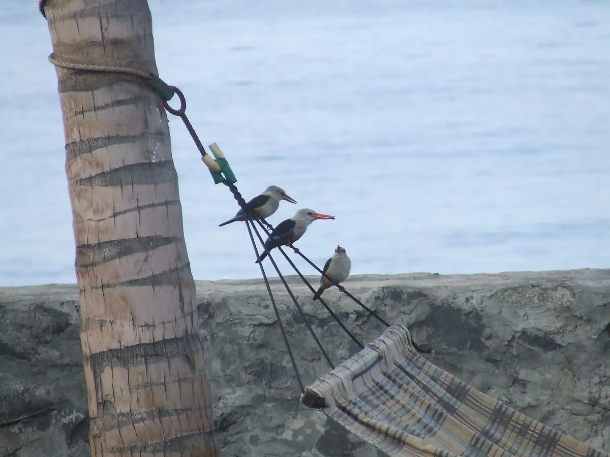 Tortuga B&B São Filipe Cabo Verde