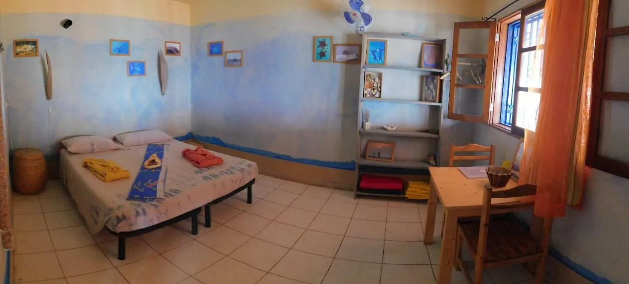 Сasa de vacaciones Tortuga B&B São Filipe