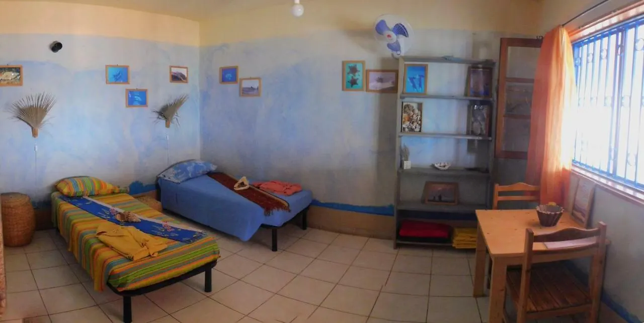 Сasa de vacaciones Tortuga B&B São Filipe